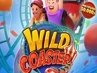 Wild Coaster game icon